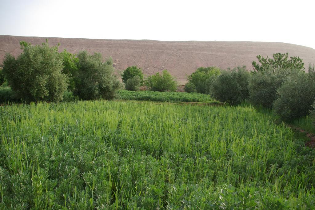 Maison D'Hotes Nouflla Aït Benhaddou Eksteriør bilde